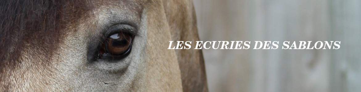 LES ECURIES DES SABLONS